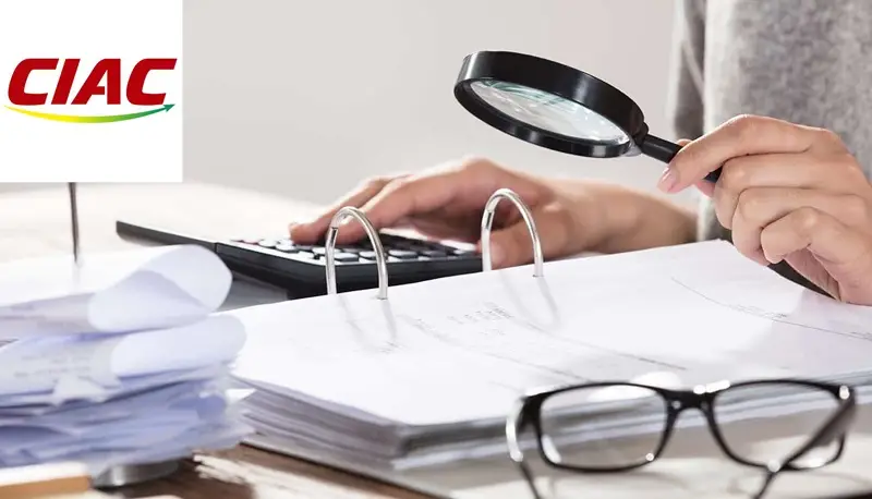 Audit interne et contrôle